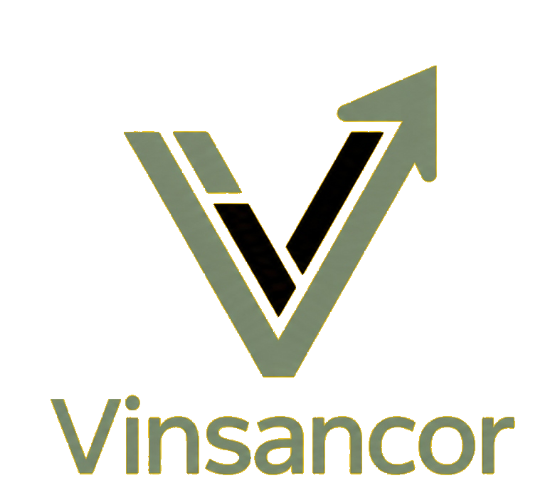 Vinsancor Presença Digital