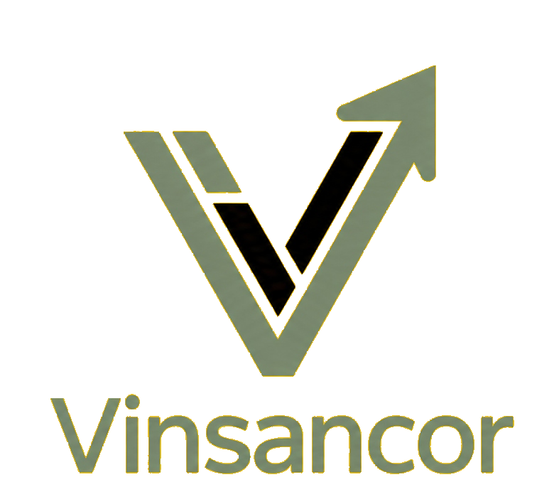 Vinsancor Presença Digital